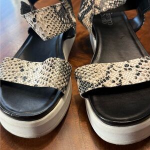 Franco Sarto Black and Cream Snakeskin Sandals